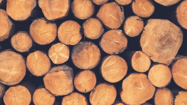 Lumber Shortages: What This Means For You